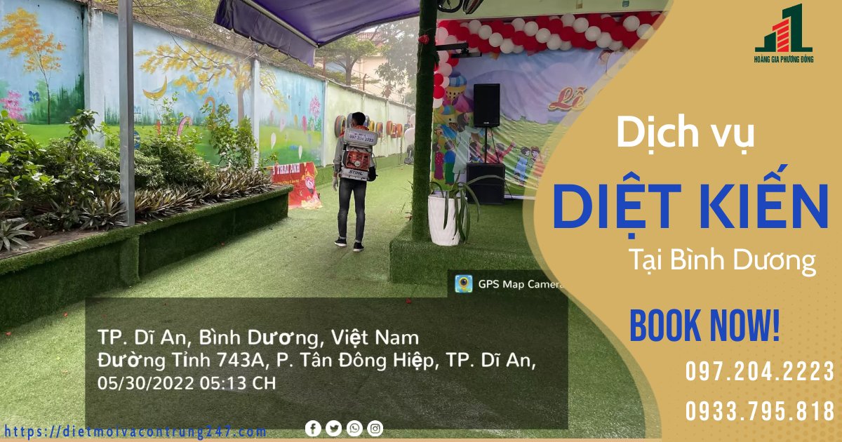 DỊCH VỤ DIỆT KIẾN TẠI BÌNH DƯƠNG